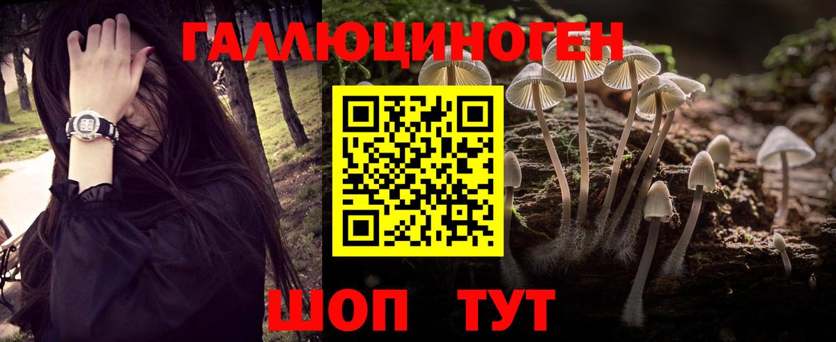 Касимов  Галлюциногенные грибы ЛСД  Вход с VPN  Галлюциногенные грибы Magic Shrooms 