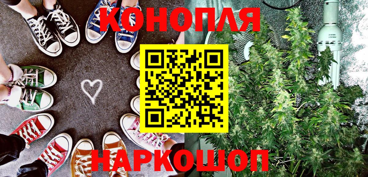 Бошки марихуана OG Kush Касимов